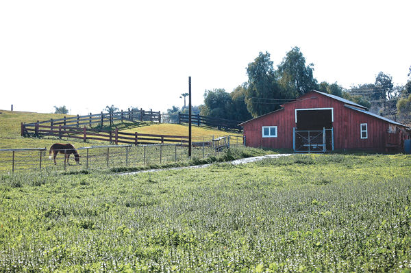 The Caballero Family barn